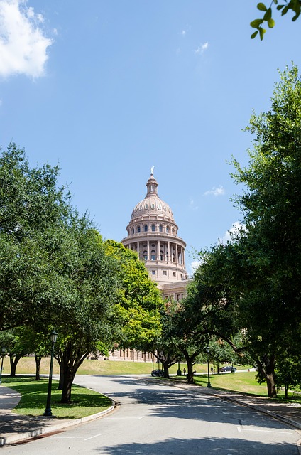Unwind and Thrive: Top Acupuncture Clinic in Round Rock