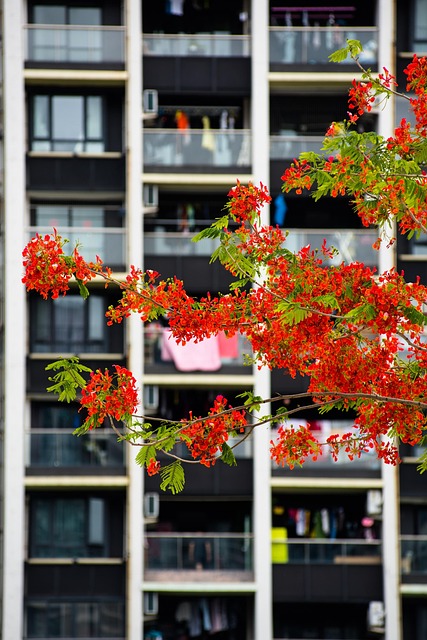 Phoenix Fight Gyms: Coaching, Conditioning for MMA Dominance