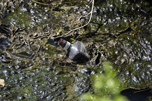 Protecting Sensitive Financial Data: Comprehensive Backup & Recovery Solutions with CPAs