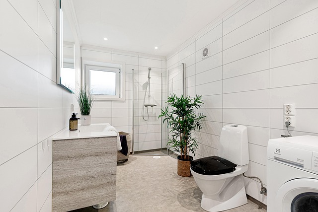 Revitalize Carpets: Premium Shampooing for Softness and Bright Color